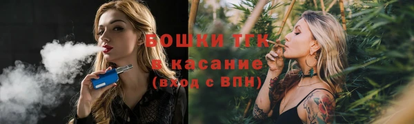 шишки Баксан