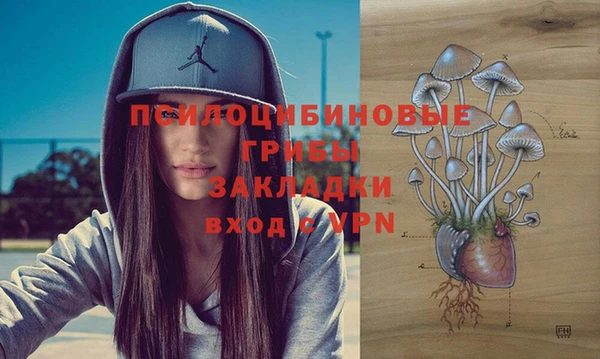 2c-b Балабаново
