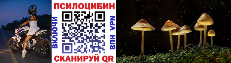 kraken ССЫЛКА  закладка  Сегежа  Галлюциногенные грибы GOLDEN TEACHER 